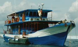 DSC_0040.JPG