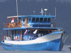 IMG_2377.jpg